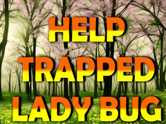 leikur Help Trapped Lady Bug