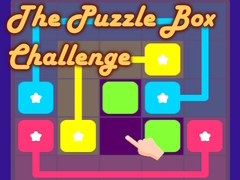 leikur The Puzzle Box Challenge