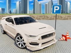 leikur Car Simulator 3D