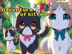 leikur Adventure of Kittens