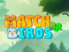 leikur Match Pop Birds