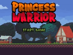 leikur Princess Warrior