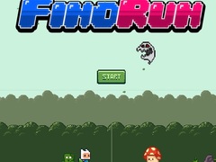 leikur Fino Run