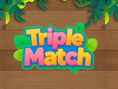 leikur Triple Matched