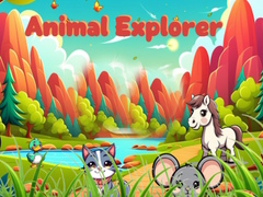 leikur Animal Explorer 