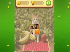 leikur Farm Cat Memory Match