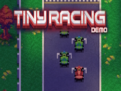 leikur Tiny Racing Demo