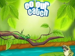 leikur Colour Catch
