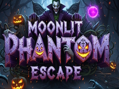 leikur Moonlit Phantom Escape
