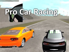 leikur Pro Car Racing