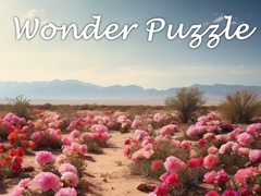 leikur Wonder Puzzle