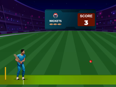 leikur Cricket Night 2