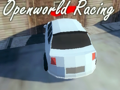 leikur Openworld Racing