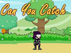 leikur Can You Catch