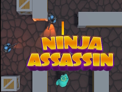 leikur Ninja Assassin