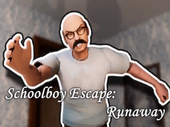 leikur Schoolboy Escape: Runaway