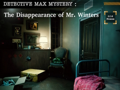leikur Detective Max: The Disappearance of Mr. Winters