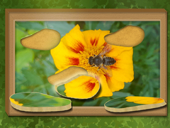 leikur Find & Restore: Hidden Puzzle