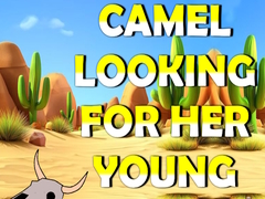 leikur Camel Looking For Her Young