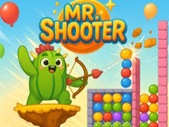 leikur Mr Shooter