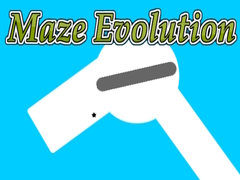leikur Maze Evolution
