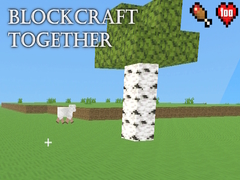 leikur BlockCraft Together