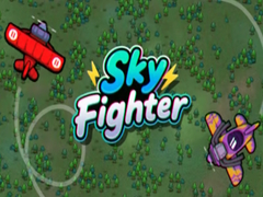 leikur Sky Fighter