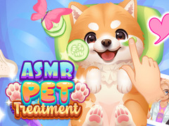 leikur ASMR Pet Treatment