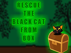 leikur Rescue the Black Cat from Box