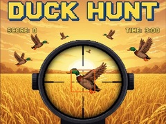 leikur Duck Hunt