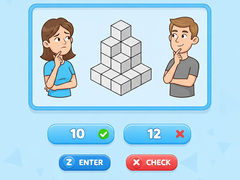 leikur Try To Count The Boxes