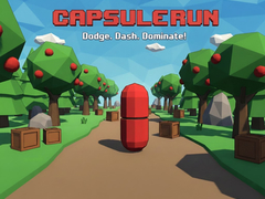 leikur Capsule Run