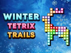 leikur Winter Tetrix Trails