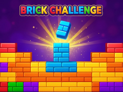 leikur Brick Challenge