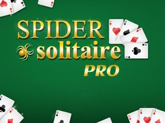leikur Spider Solitaire Pro
