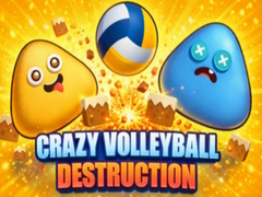 leikur Crazy Volleyball Destruction