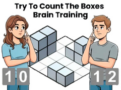 leikur Try To Count The Boxes Brain Training