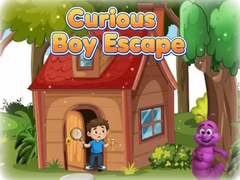 leikur Curious Boy Escape
