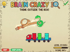 leikur Brain Crazy IQ 