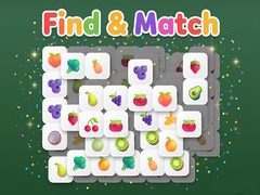 leikur Find & Match