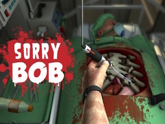 leikur Sorry Bob