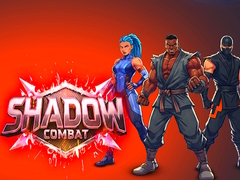 leikur Shadow Combat