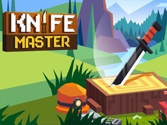 leikur Knife Master