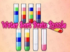 leikur Water Sort Brain Puzzle