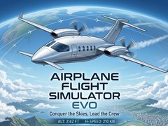 leikur Airplane Flight Simulator EVO