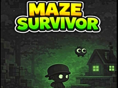 leikur Maze Survivor 
