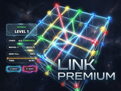 leikur Link Premium