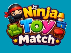 leikur Ninja Toy Match