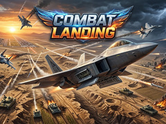 leikur Combat Landing