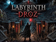 leikur Labyrinth of Droz